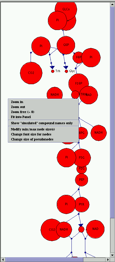 Snapshot of graph panel showing glycolysis pathway